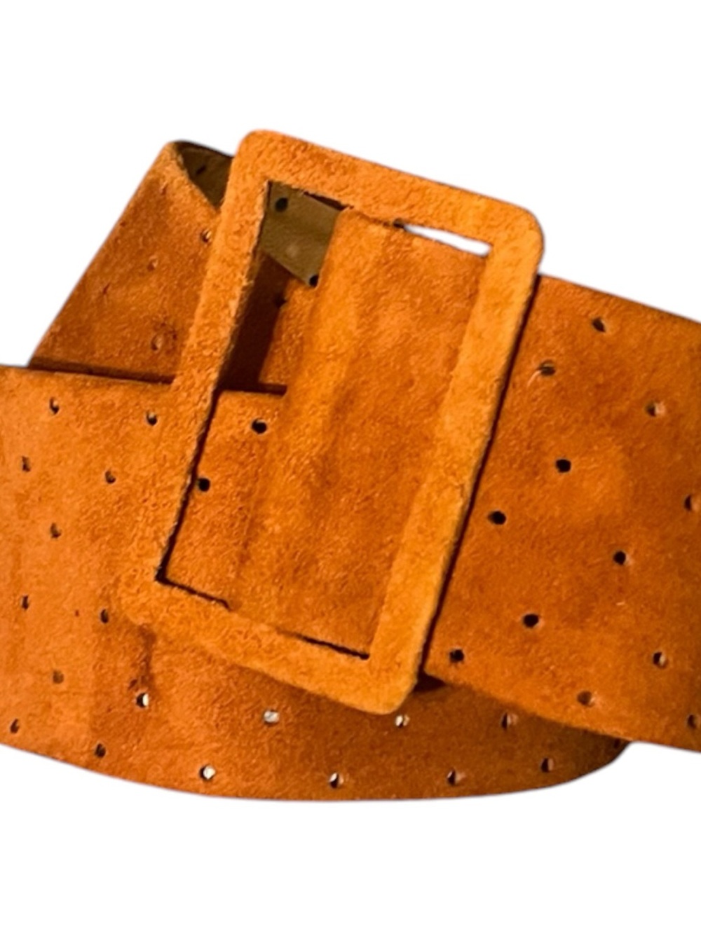 Suede Belt by Laura Biagiotti